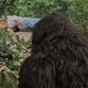 Illustration for article titled Exists finds a Blair Witch alum failing at the genre he helped pioneer